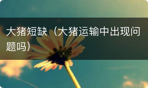 大猪短缺（大猪运输中出现问题吗）