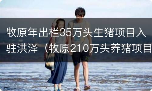 牧原年出栏35万头生猪项目入驻洪泽（牧原210万头养猪项目）