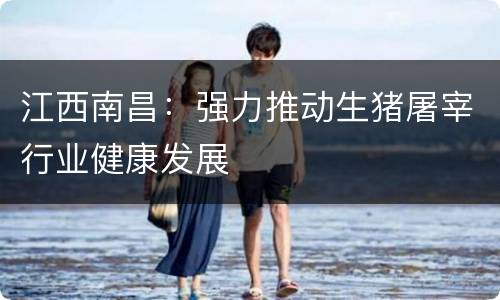 江西南昌：强力推动生猪屠宰行业健康发展