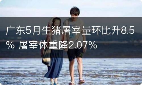 广东5月生猪屠宰量环比升8.5% 屠宰体重降2.07%