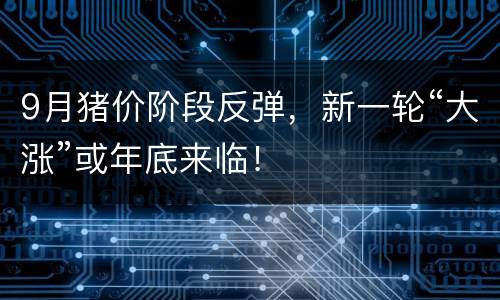 9月猪价阶段反弹，新一轮“大涨”或年底来临！