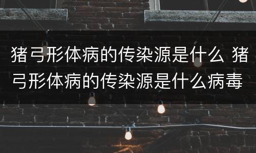 猪弓形体病的传染源是什么 猪弓形体病的传染源是什么病毒