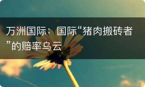 万洲国际：国际“猪肉搬砖者”的赔率乌云