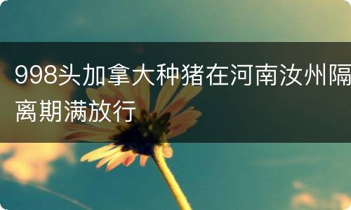 998头加拿大种猪在河南汝州隔离期满放行