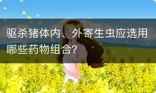 驱杀猪体内、外寄生虫应选用哪些药物组合？