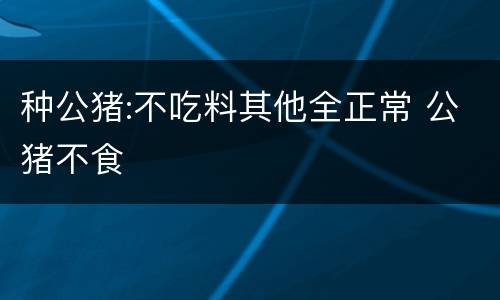 种公猪:不吃料其他全正常 公猪不食