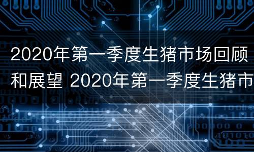 2020年第一季度生猪市场回顾和展望 2020年第一季度生猪市场回顾和展望