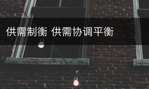 供需制衡 供需协调平衡