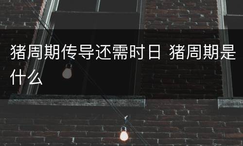 猪周期传导还需时日 猪周期是什么