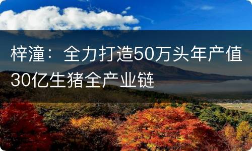 梓潼：全力打造50万头年产值30亿生猪全产业链