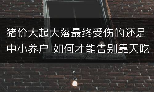 猪价大起大落最终受伤的还是中小养户 如何才能告别靠天吃饭的窘