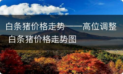 白条猪价格走势——高位调整 白条猪价格走势图