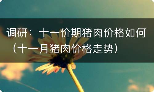 调研：十一价期猪肉价格如何（十一月猪肉价格走势）