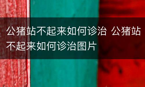 公猪站不起来如何诊治 公猪站不起来如何诊治图片
