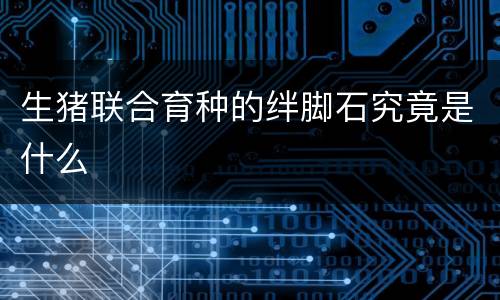 生猪联合育种的绊脚石究竟是什么