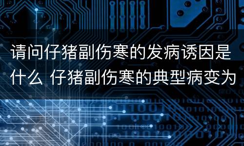 请问仔猪副伤寒的发病诱因是什么 仔猪副伤寒的典型病变为