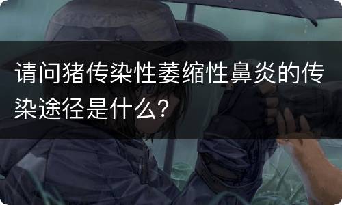 请问猪传染性萎缩性鼻炎的传染途径是什么？