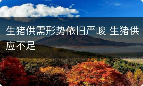 生猪供需形势依旧严峻 生猪供应不足