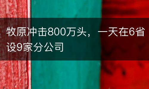 牧原冲击800万头，一天在6省设9家分公司