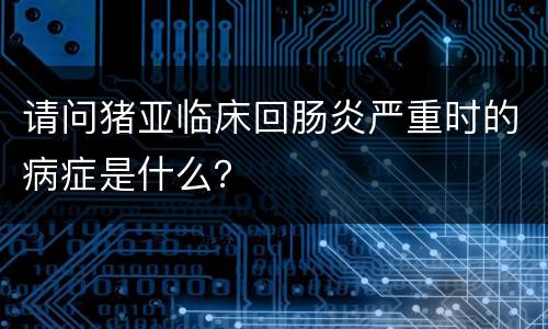 请问猪亚临床回肠炎严重时的病症是什么？