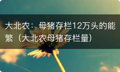 大北农：母猪存栏12万头的能繁（大北农母猪存栏量）