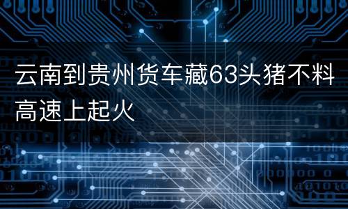 云南到贵州货车藏63头猪不料高速上起火