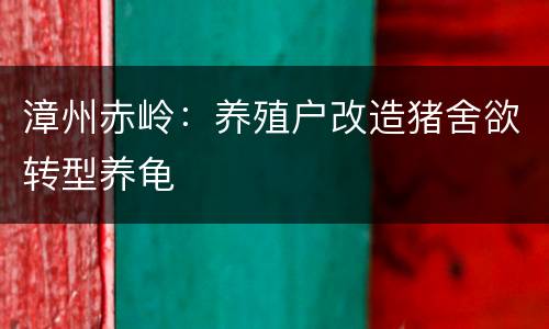 漳州赤岭：养殖户改造猪舍欲转型养龟