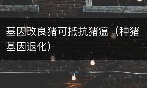 基因改良猪可抵抗猪瘟（种猪基因退化）