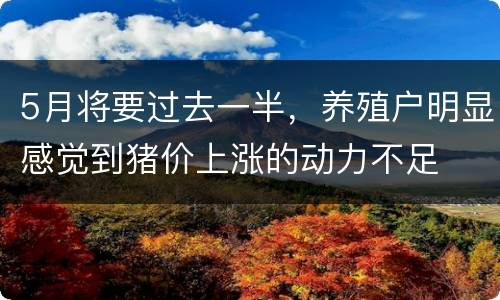5月将要过去一半，养殖户明显感觉到猪价上涨的动力不足