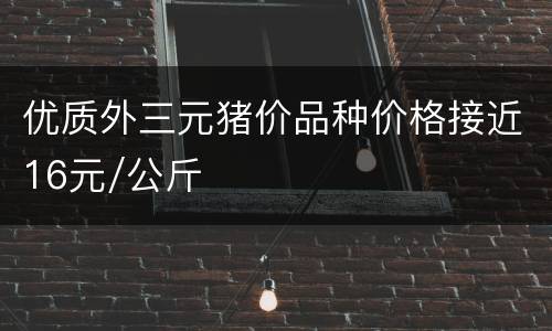 优质外三元猪价品种价格接近16元/公斤