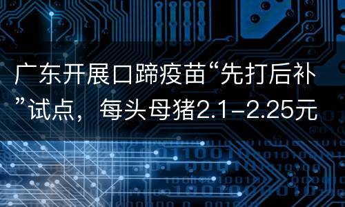 广东开展口蹄疫苗“先打后补”试点，每头母猪2.1-2.25元！