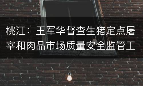桃江：王军华督查生猪定点屠宰和肉品市场质量安全监管工作