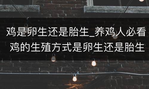 鸡是卵生还是胎生_养鸡人必看 鸡的生殖方式是卵生还是胎生