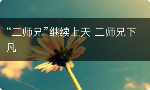 “二师兄”继续上天 二师兄下凡