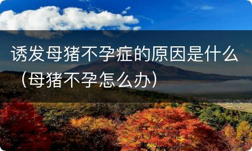 诱发母猪不孕症的原因是什么（母猪不孕怎么办）