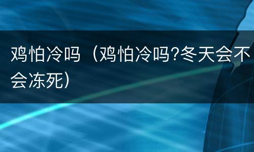 鸡怕冷吗（鸡怕冷吗?冬天会不会冻死）