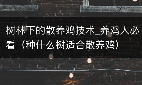树林下的散养鸡技术_养鸡人必看（种什么树适合散养鸡）