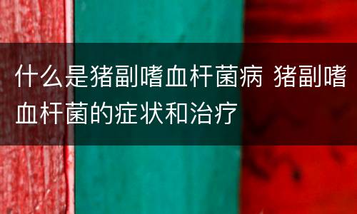 什么是猪副嗜血杆菌病 猪副嗜血杆菌的症状和治疗