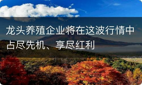 龙头养殖企业将在这波行情中占尽先机、享尽红利