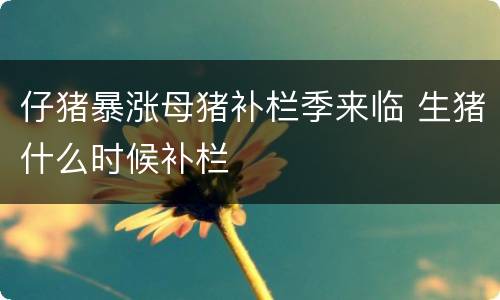 仔猪暴涨母猪补栏季来临 生猪什么时候补栏