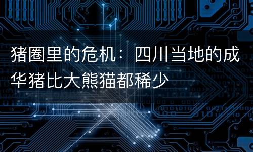 猪圈里的危机:四川当地的成华猪比大熊猫都稀少