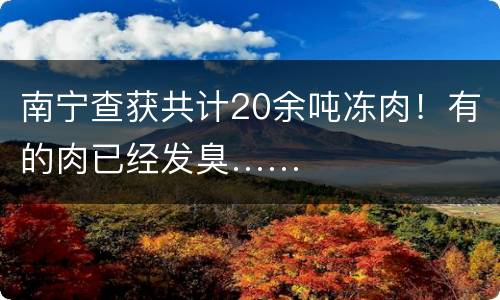 南宁查获共计20余吨冻肉！有的肉已经发臭……