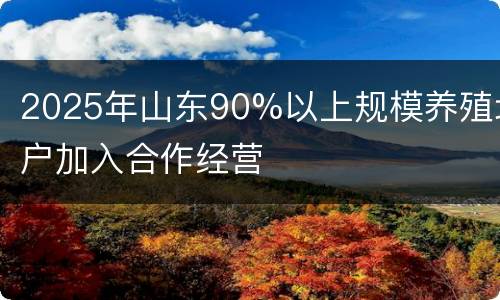 2025年山东90%以上规模养殖场户加入合作经营