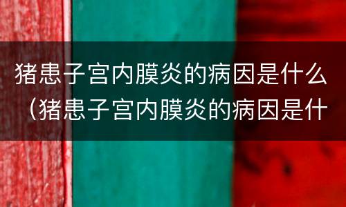 猪患子宫内膜炎的病因是什么（猪患子宫内膜炎的病因是什么引起的）