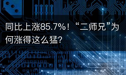 同比上涨85.7%！“二师兄”为何涨得这么猛？