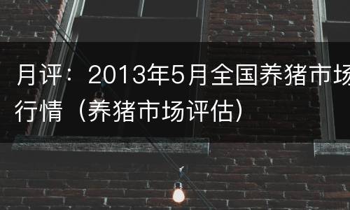 月评：2013年5月全国养猪市场行情（养猪市场评估）