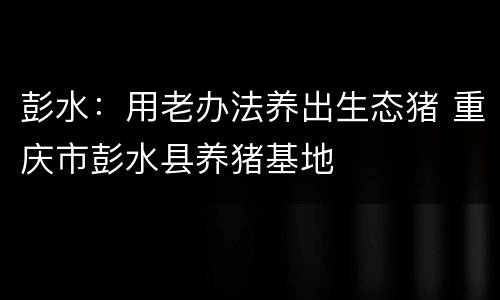 彭水：用老办法养出生态猪 重庆市彭水县养猪基地