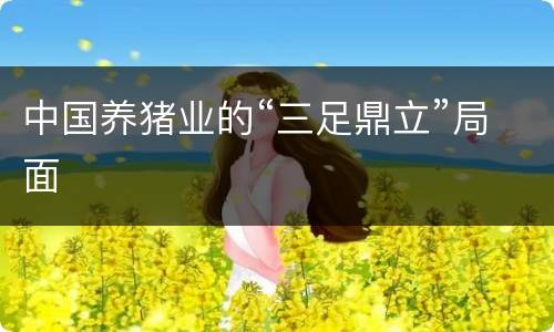 中国养猪业的“三足鼎立”局面