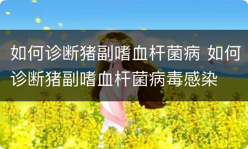如何诊断猪副嗜血杆菌病 如何诊断猪副嗜血杆菌病毒感染