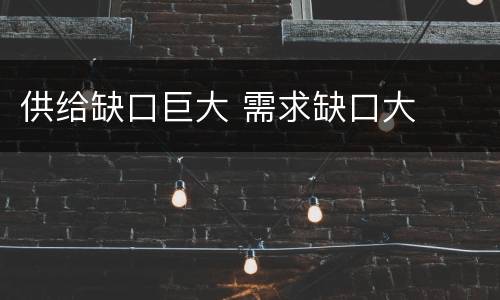 供给缺口巨大 需求缺口大